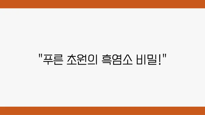 2tv 생생정보 염소 목장 - 평창, 푸른 초원의 방목 흑염소 나나랜드