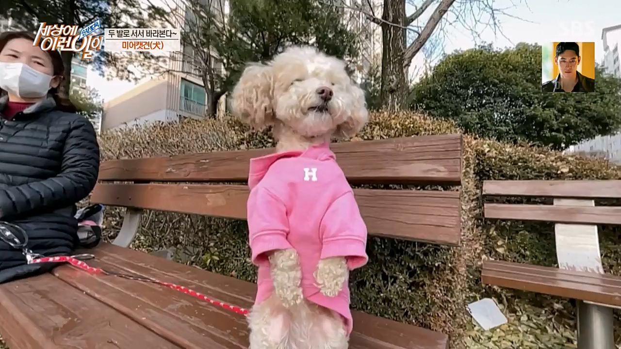 순간포착 세상에 이런일이.E1216.230208p-NEXT.mp4_20230208_194154.404.jpg