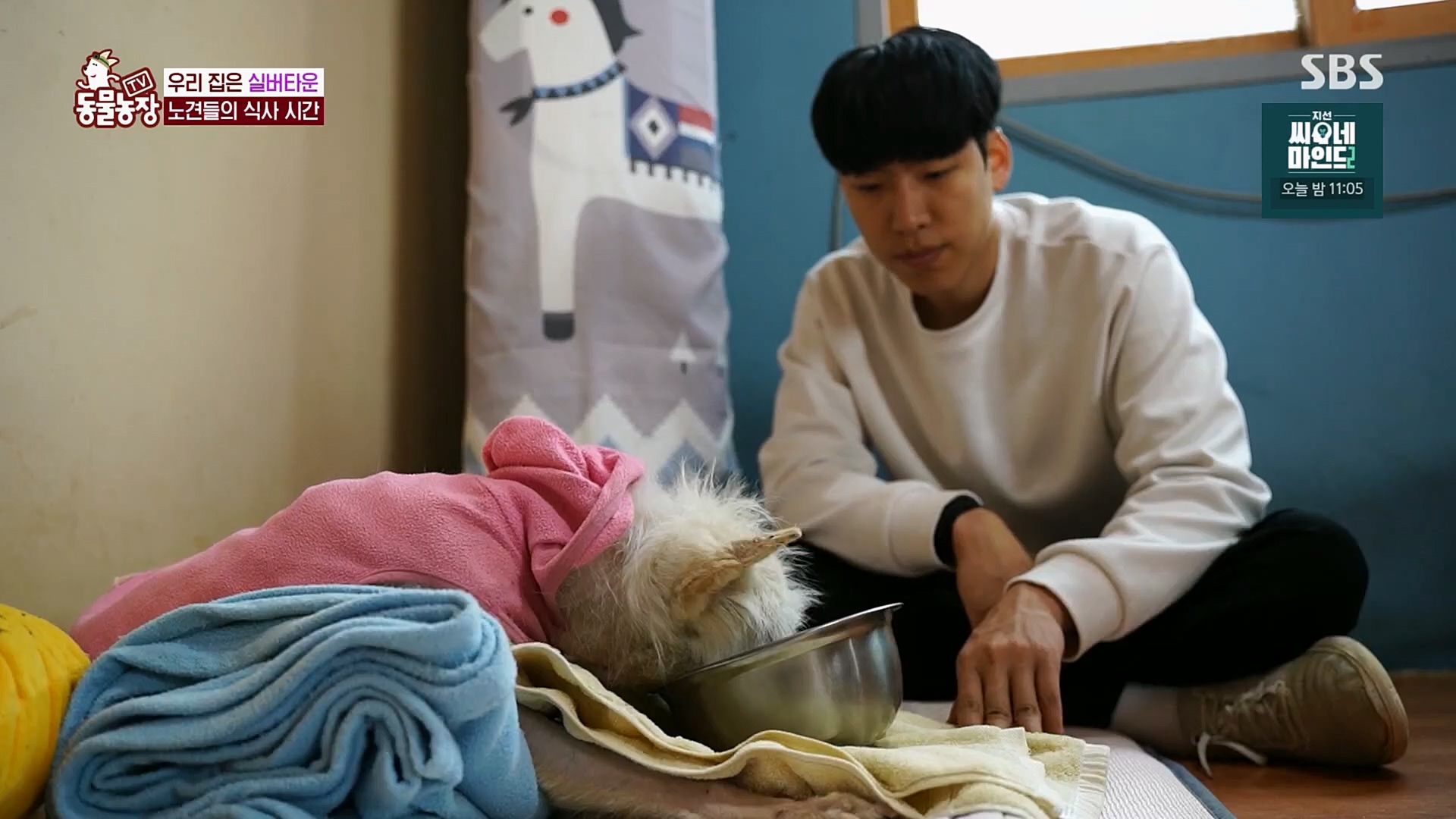 TV 동물농장.E1115.230409p.H264-F1RST.mp4_20230409_173052.856.jpg