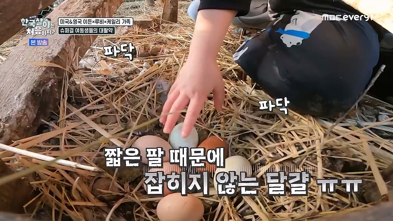 어서와 한국살이는 처음이지.E06.230125p-NEXT.mp4_20230125_192256.630.jpg