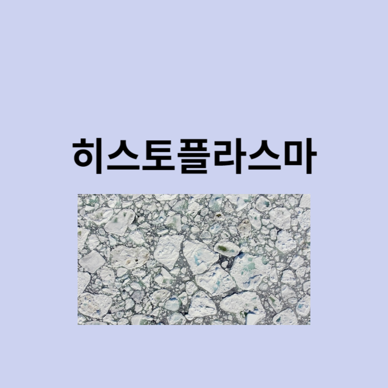 히스토플라스마