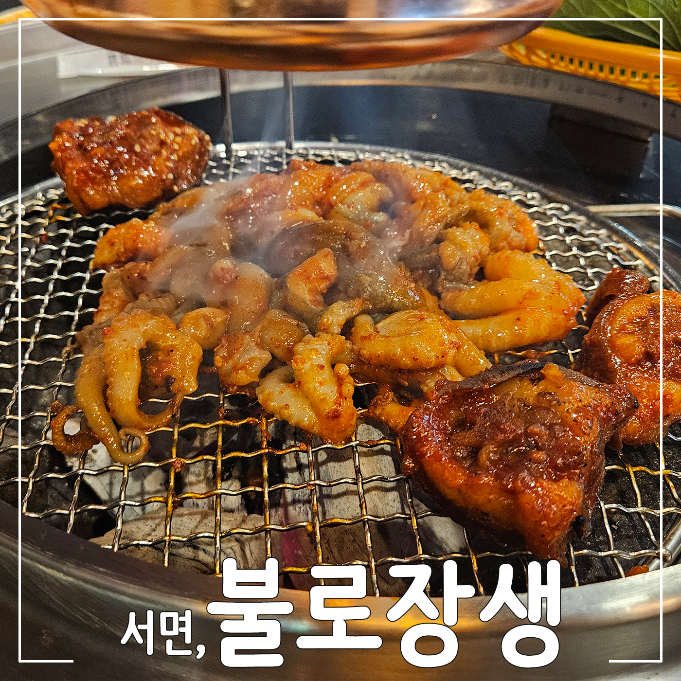 불로장생 대표 사진
