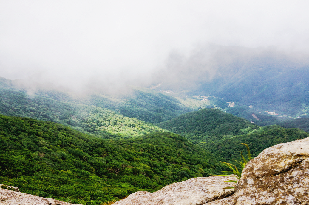 한국 명산 전남 광양 백운산 등산 mountain hiking