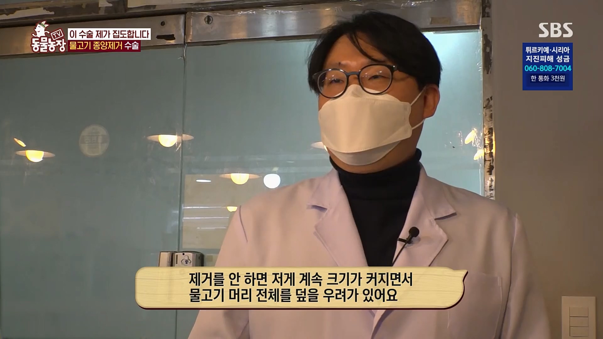 TV 동물농장.E1109.230219p.H264-F1RST.mp4_20230219_142841.149.jpg