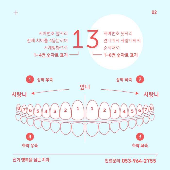 치아번호 - FDI표기법