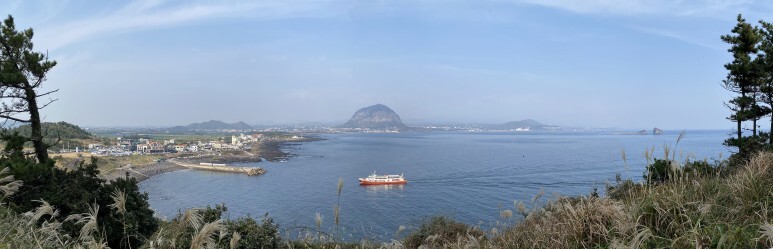  빠듯한 2박3일 제주 서남부(아르떼뮤지엄제주-추사관-송악산-사계해안도로-중문단지-카멜리아힐) 투어와 주변 맛집