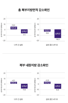 다이어트 보조제 성분비교 추천 BEST5