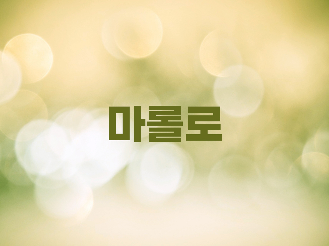 마롤로 천주교 남자세례명