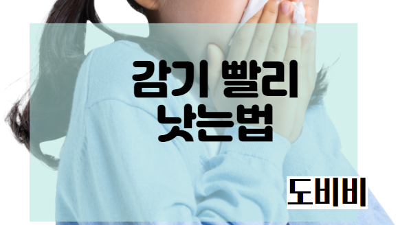  감기 빨리 낫는법, 목감기 코감기 해결 법