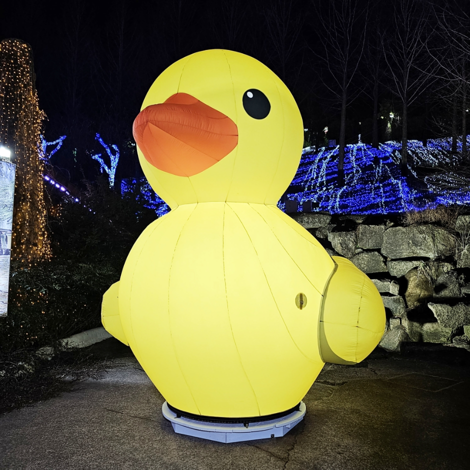 청도 프로방스 빛축제