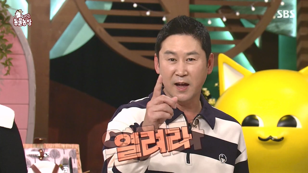 TV 동물농장.E1144.231106p-NEXT.mp4_20231105_175932.447.jpg