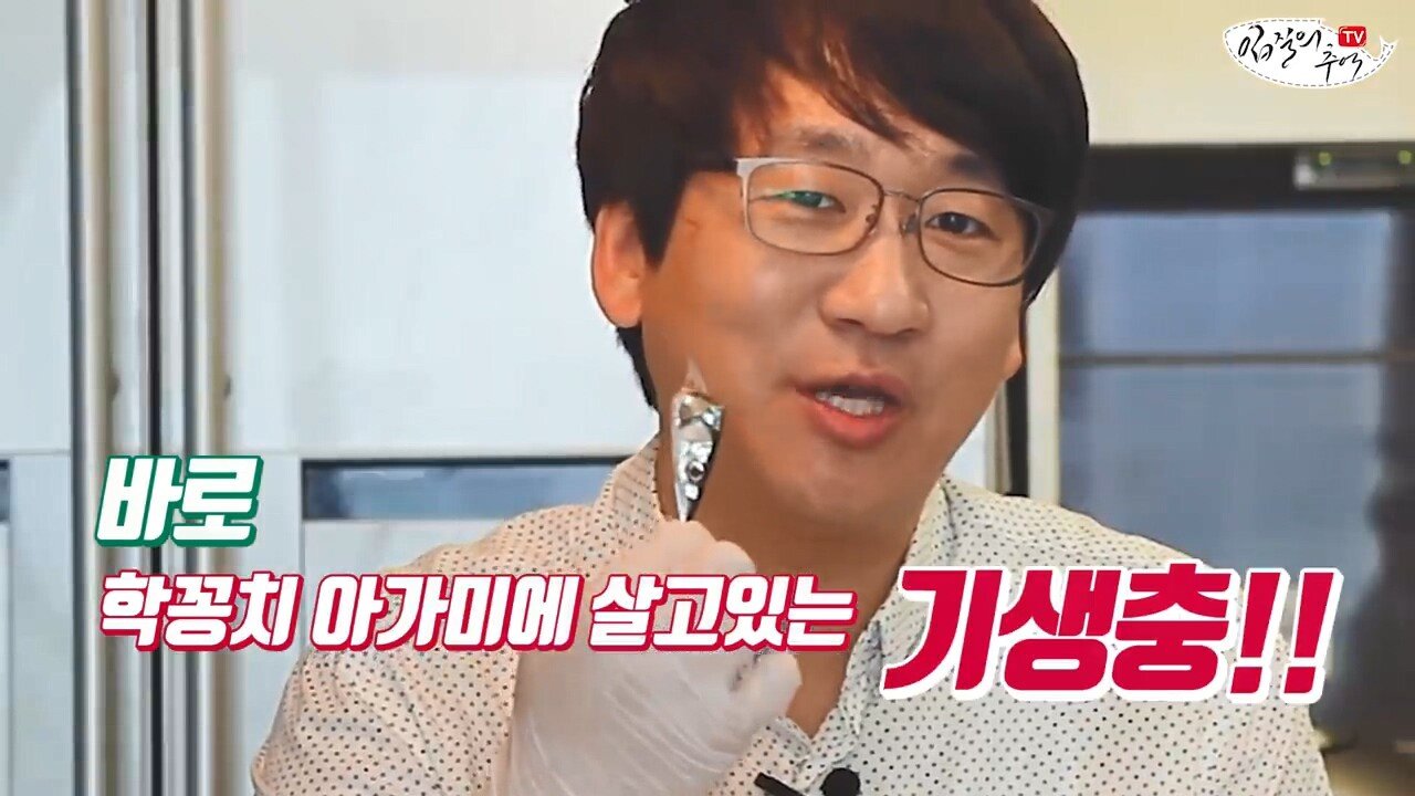  (혐) 학꽁치 아가미에 사는 기생충
