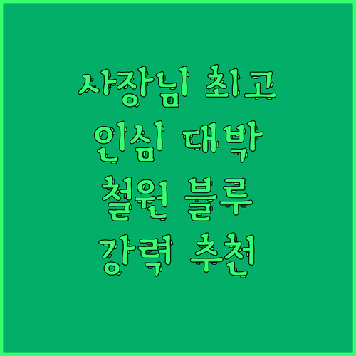 사장님 인심 최고! 철원 블루민박에서