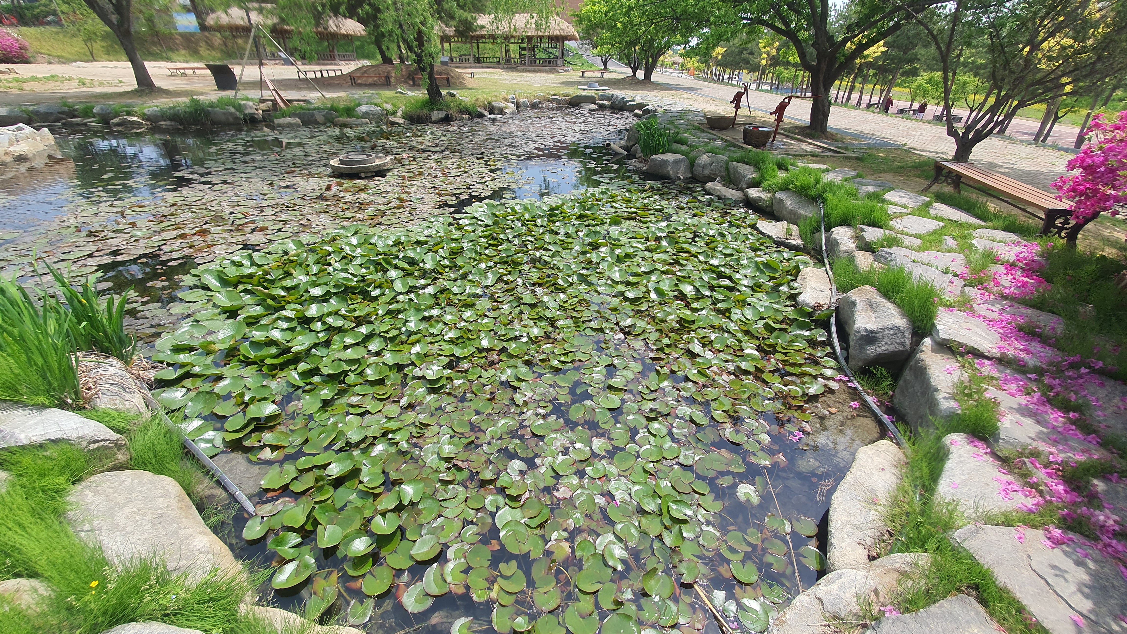 당진 합덕 가볼만한 곳 : 당진 합덕제 수변공원, 합덕제 생태관광체험센터