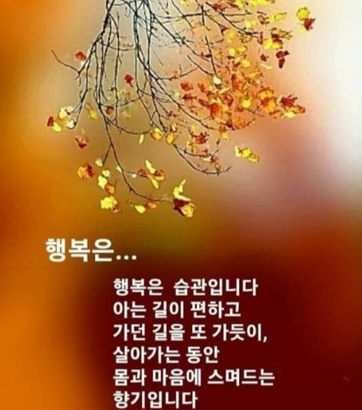 늘;한결같은 이미지
