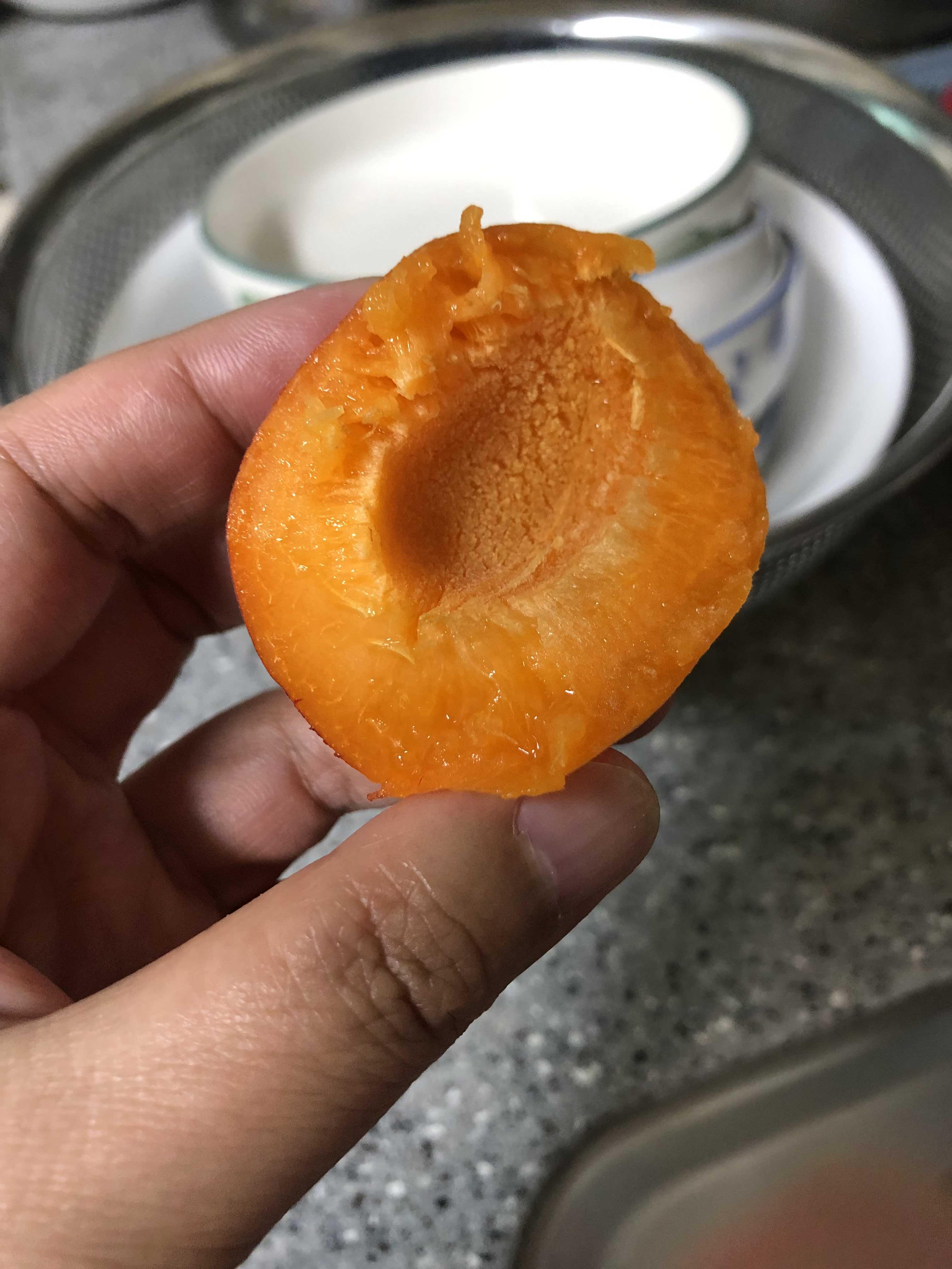  살구 효능 칼로리 알고 보니