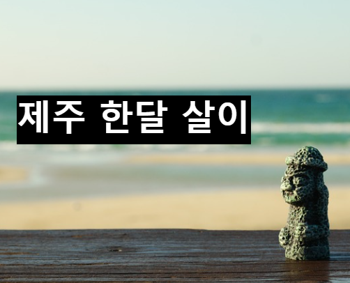  제주 한달살이 해보았니?