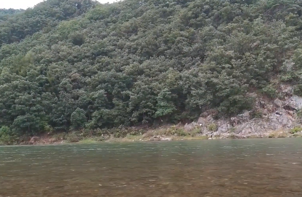  홍천 보리울 캠핑장 이용후기 장점과 단점 (feat. 무료캠핑장)