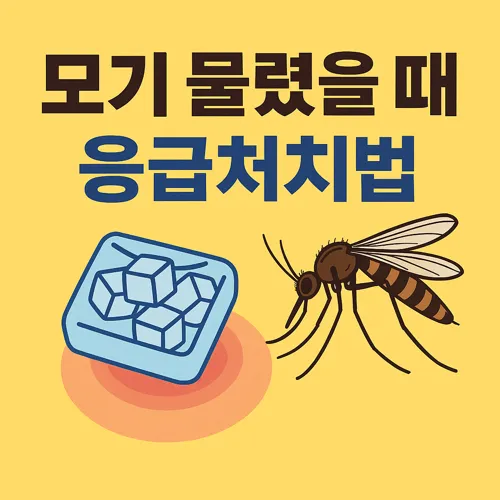 모기 물렸을 때 응급처치 가이드