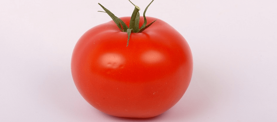 섬네일 빨강색 토마토가 놓여 있다