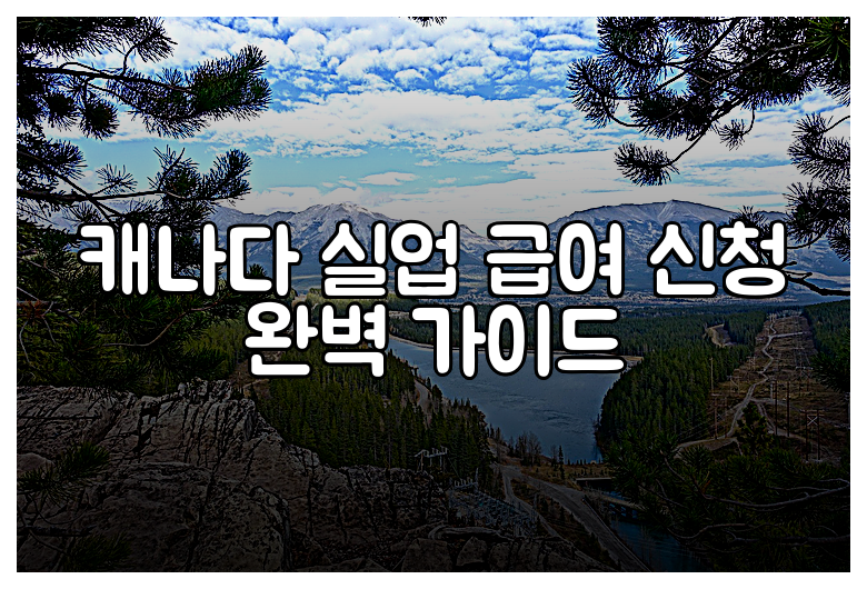 캐나다 실업 급여 신청 완벽 가이드