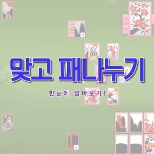  맞고 패나누기 한눈에 알아보기