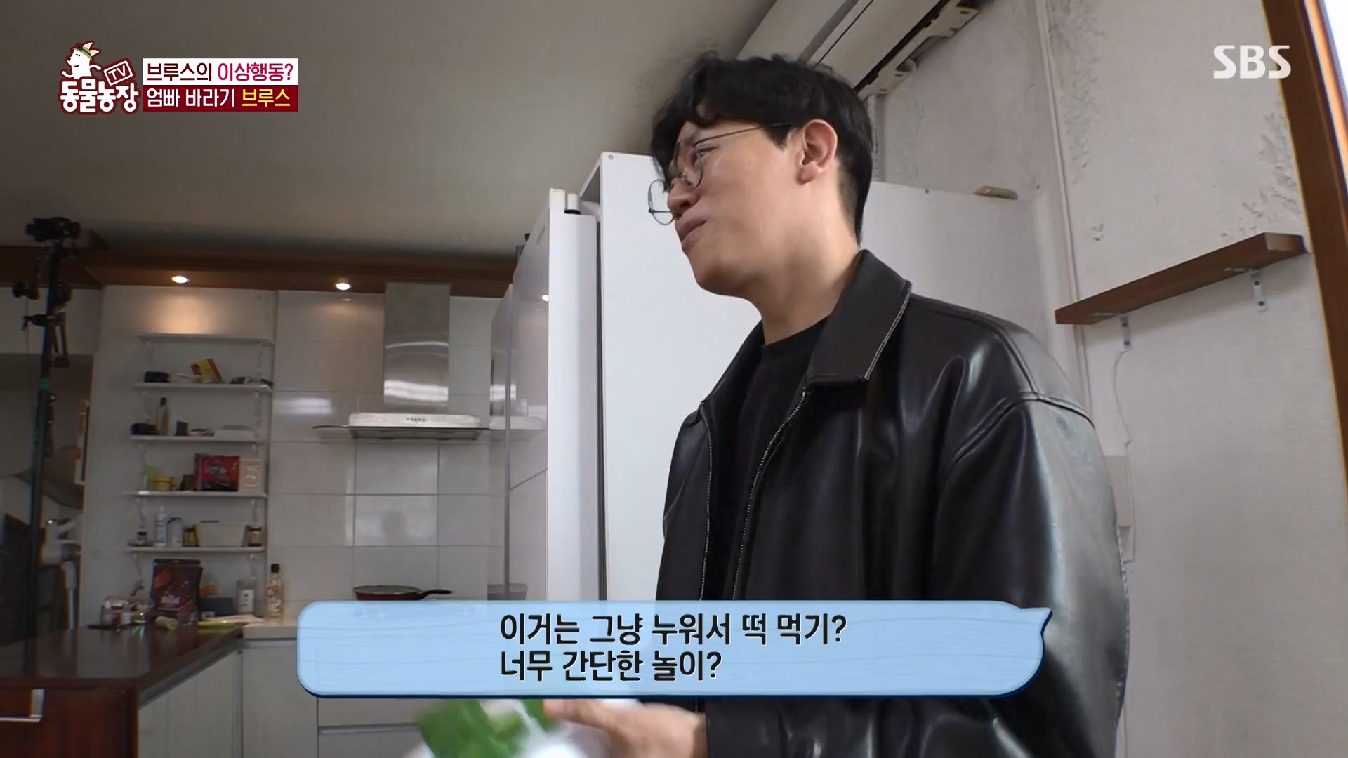 TV 동물농장.E1162.240310p-NEXT.mp4_20240310_162853.788.jpg