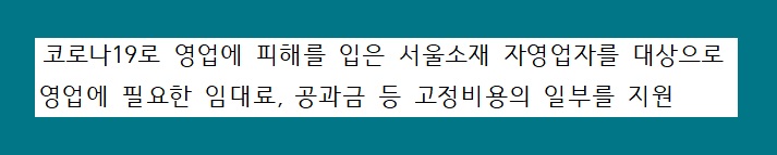 서울시 자영업자 소상공인 생존자금 신청 방법 코로나 19 지원