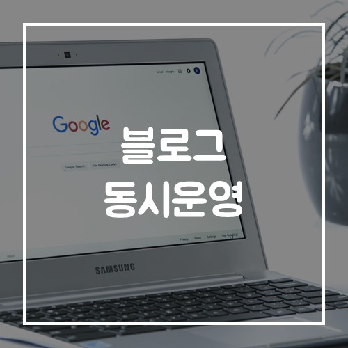  디지털노마드 네이버블로그, 티스토리 블로그 3개 동시운영으로 수익창출