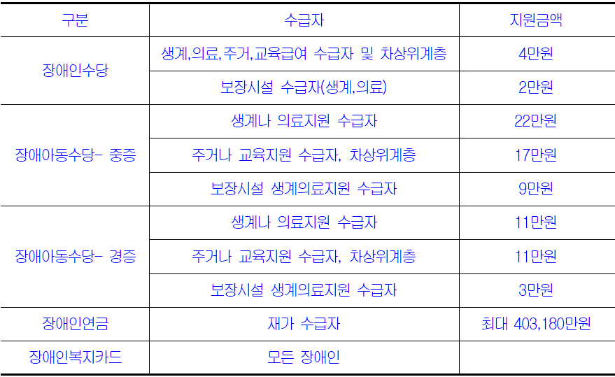 장애인에 대한 복지 지원 요약 도표