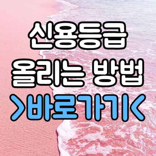  신용등급 올리는 방법 꿀팁 총정리!