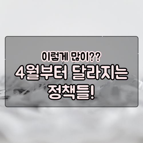 4월부터 달라지는 정책들 보고가세요~