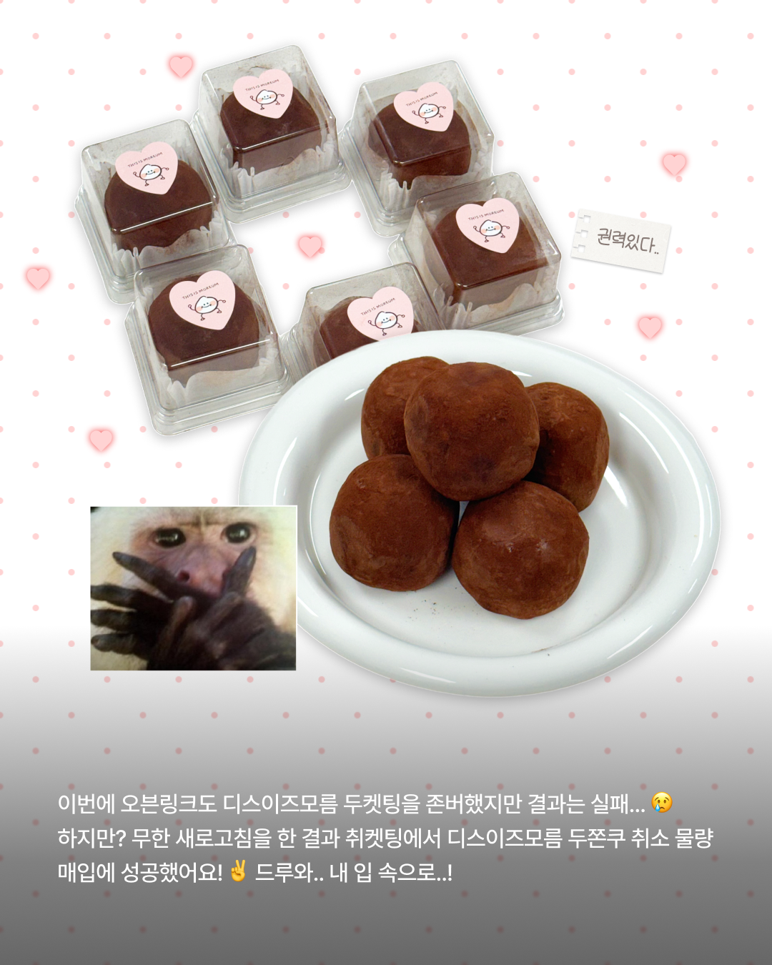 디스이즈모름 사진 2