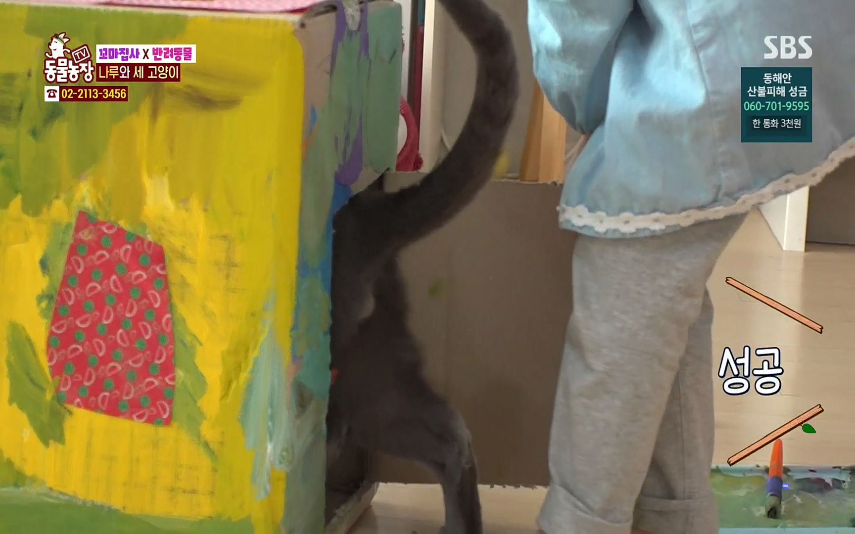 TV 동물농장.E1061.220320p.H264-F1RST.mp4_20220320_183619.118.jpg