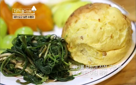 [3회] 자연의 철학자들 - KBS새처럼 살고 싶어라] 자연이라는 위대한 법당에서 숲의 울림, 새들의 소리를 들으며 깨달음을 얻은 도연 스님.ts_20220320_152522.190.jpg