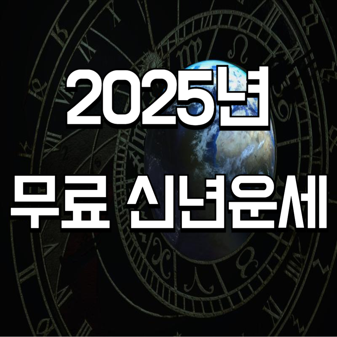 2025년 무료 신년운세 ✅