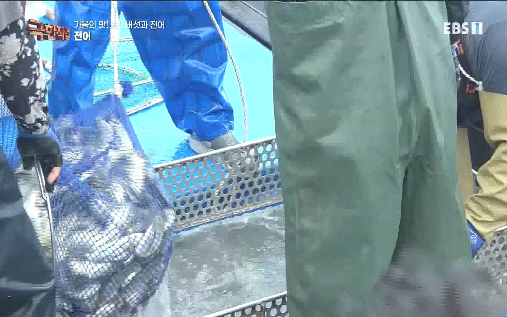 송이버섯과 전어 221008.mp4_20221012_213447.391.jpg