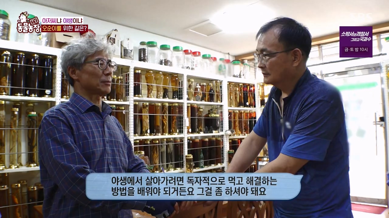 TV 동물농장.E1132.230807p-NEXT.mp4_20230806_164228.338.jpg