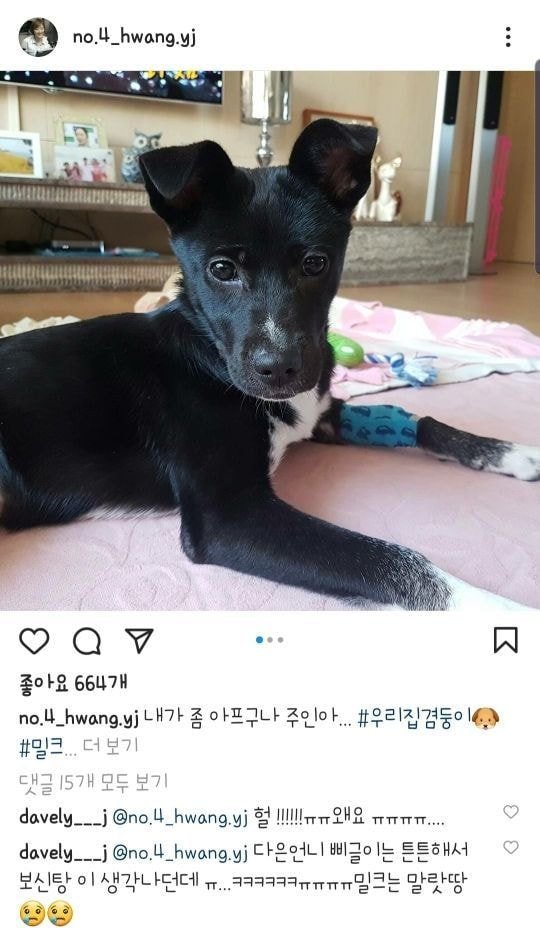  배구선수 이다영이 한 말 중에 개인적으로 가장 충격적인 말