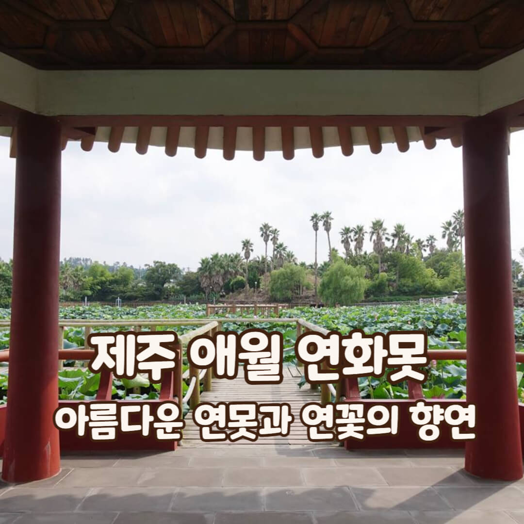 연화못-제주여행