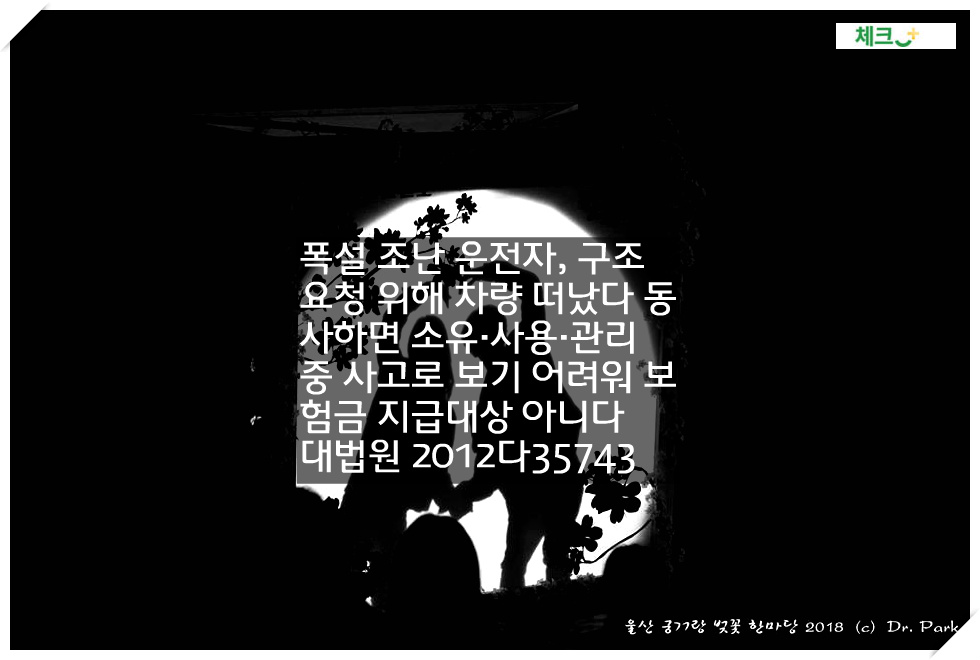 폭설 조난 운전자&#44; 구조요청 위해 차량 떠났다 동사하면 소유·사용·관리 중 사고로 보기 어려워 보험금 지급대상 아니다