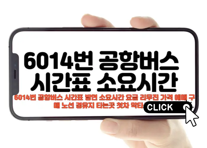 6014번 공항버스 시간표 노선 및 운행 시간 할인 운임 경유지 유실물
