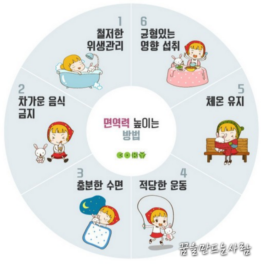  면역력 높이는 방법 총정리