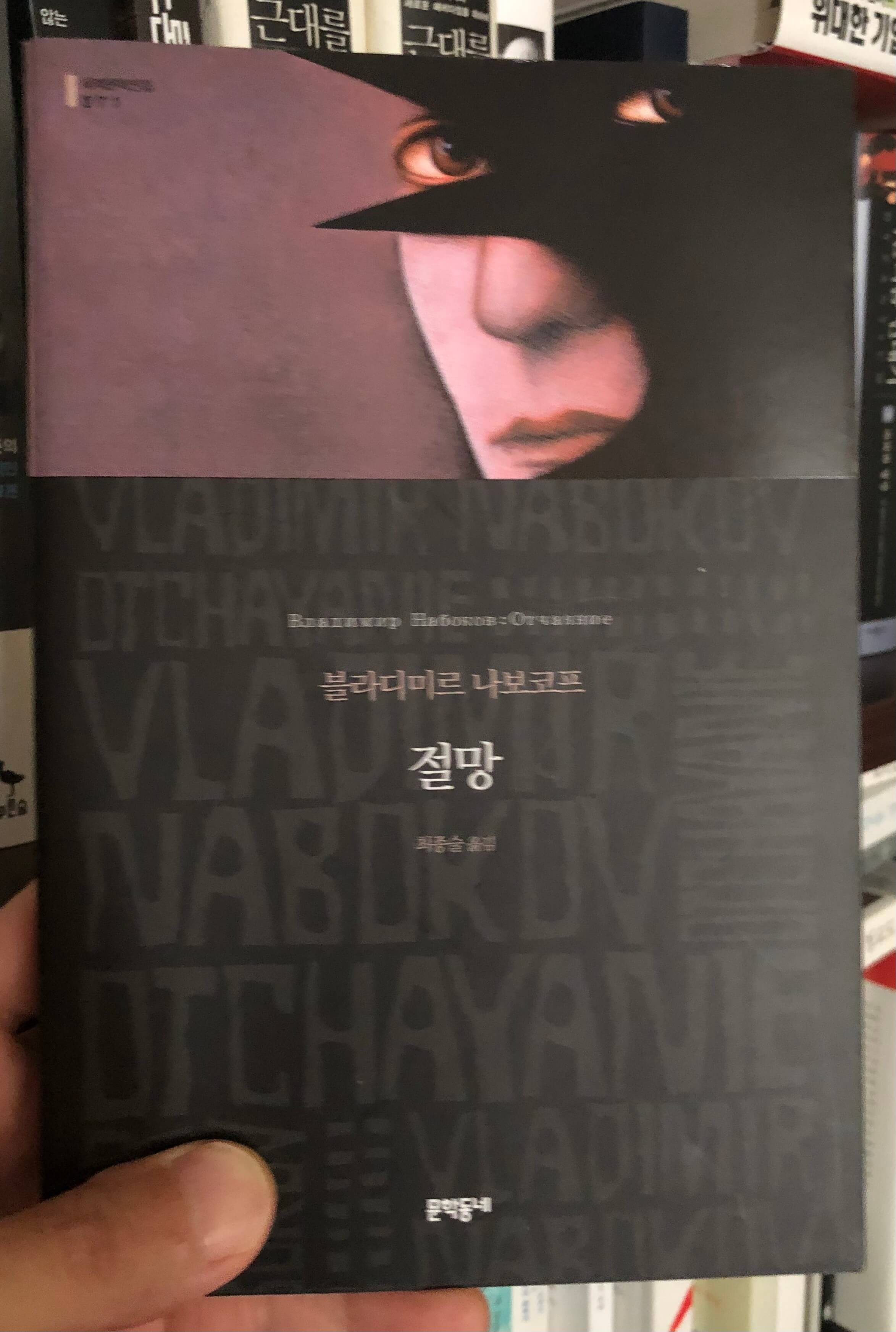  나보코프/절망