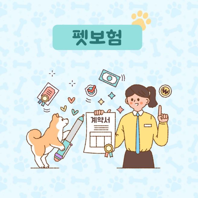 반려동물 보험