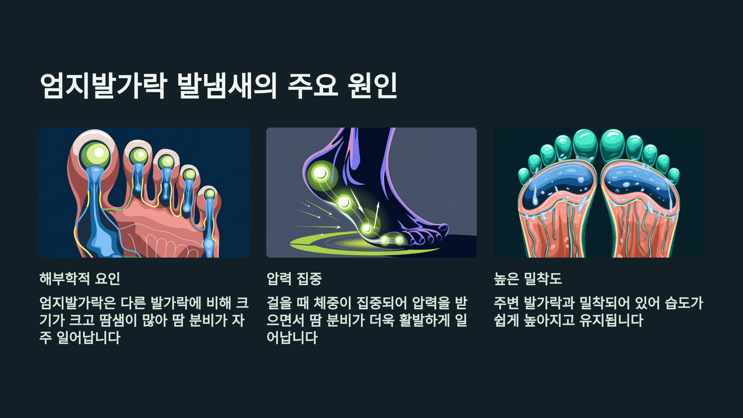 엄지발가락 발냄새의 주요 원인을 설명한 PPT 이미지