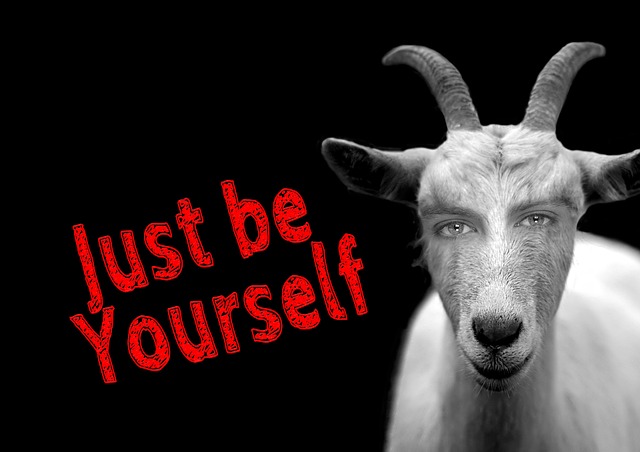 꿈속에 염소가 나올때 상황별 꿈해몽