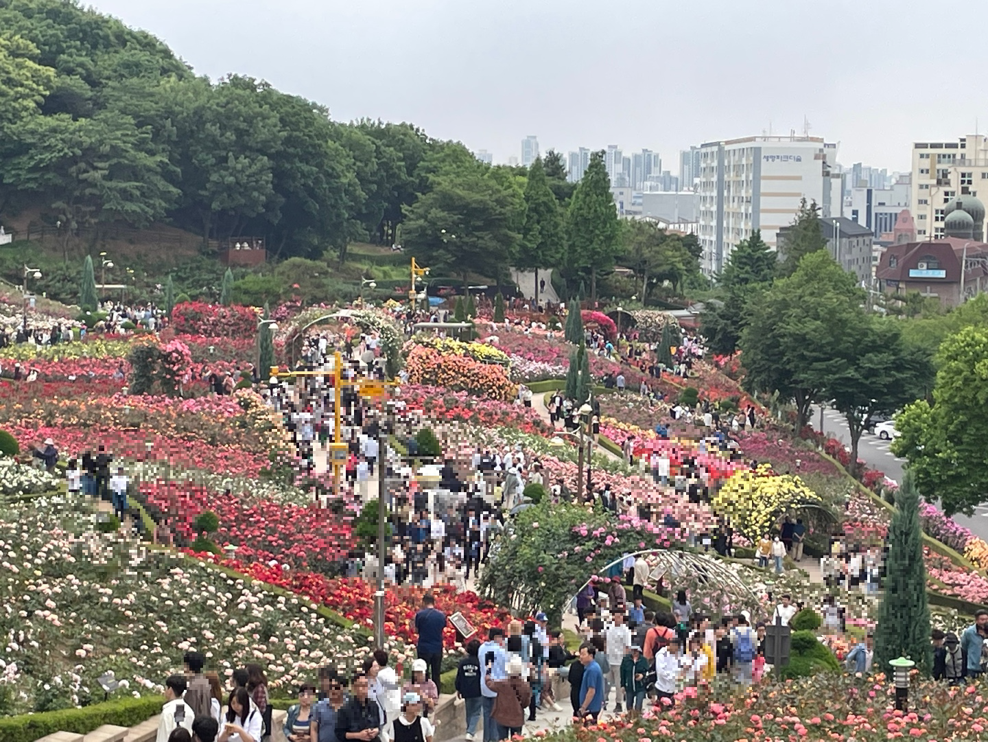 많은 사람들이 보인다.