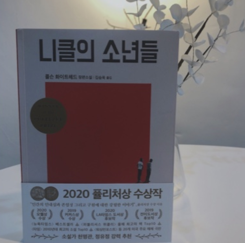 니클의 소년들 <사회의 뒷면에서 빛을 잃어간 소년들>