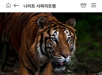 나이트-사파리-요금